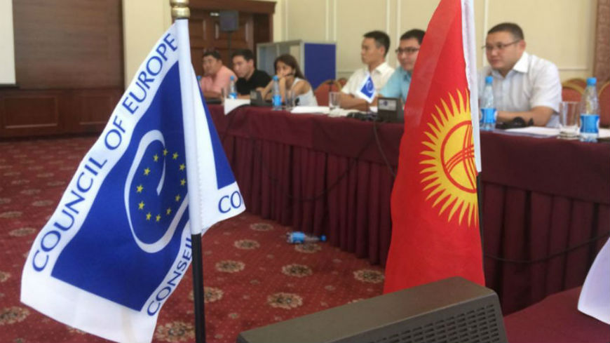 © Council of Europe