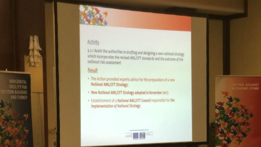 4th Steering Committee meeting of the Action against economic crime