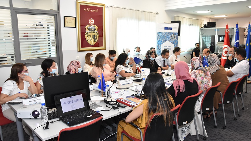 Workshop on setting up a sampling and verification system for declarations of assets and interests