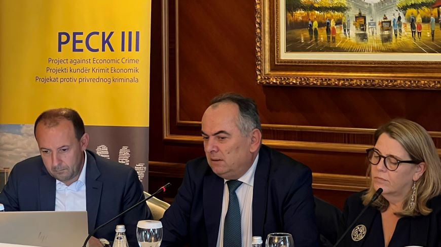 Project against Economic Crime (PECK III) held its seventh Steering Committee Meeting
