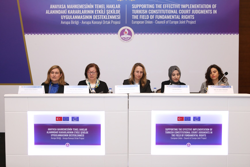 Workshop on Human Rights in Times of Natural Disasters: Insights from  Constitutional Court Judgments