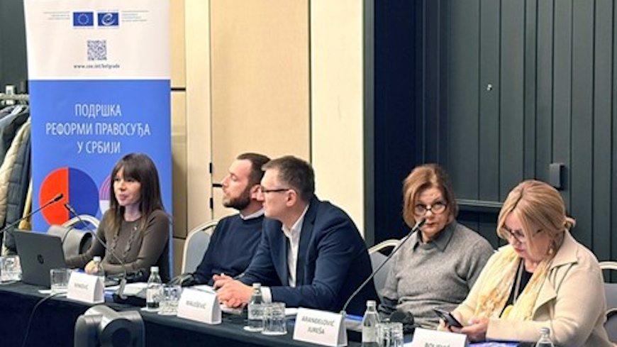 Final Steering Committee Meeting Highlights Progress in Judicial Reform Efforts