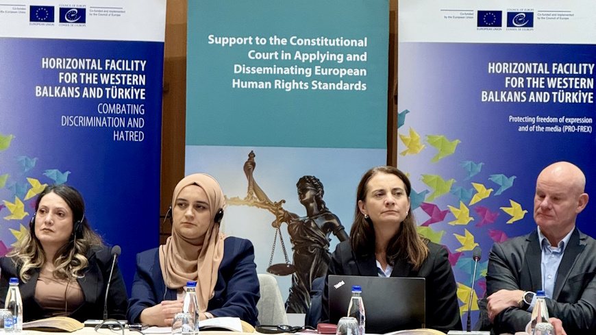 Protecting freedom of expression and of the media (PRO-FREX)