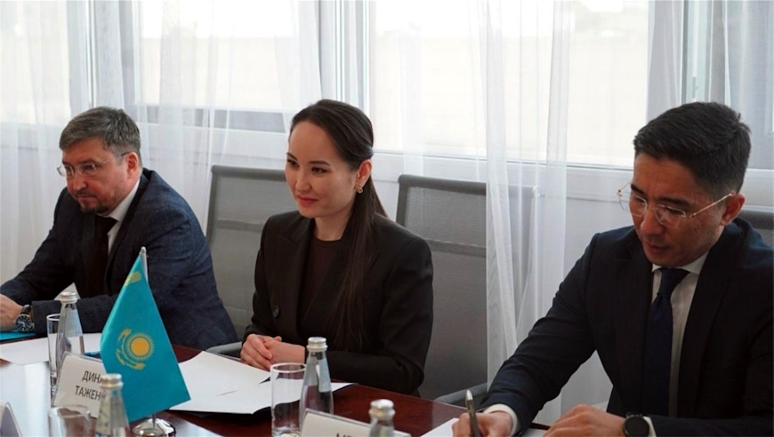 Council of Europe and the National Centre for Human Rights in Kazakhstan exchange on fostering co-operation