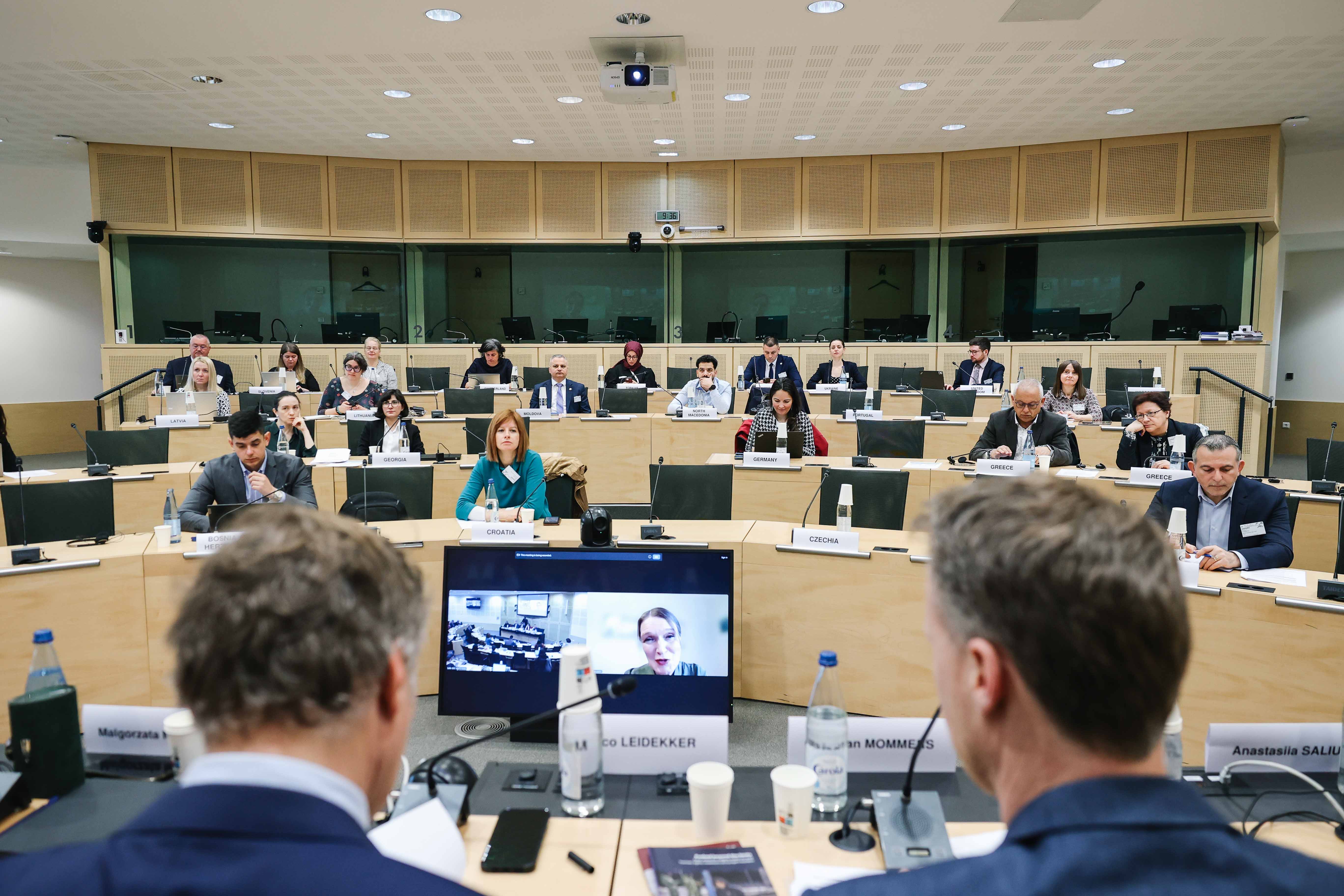 Monitoring by national preventive mechanisms in the context of migration