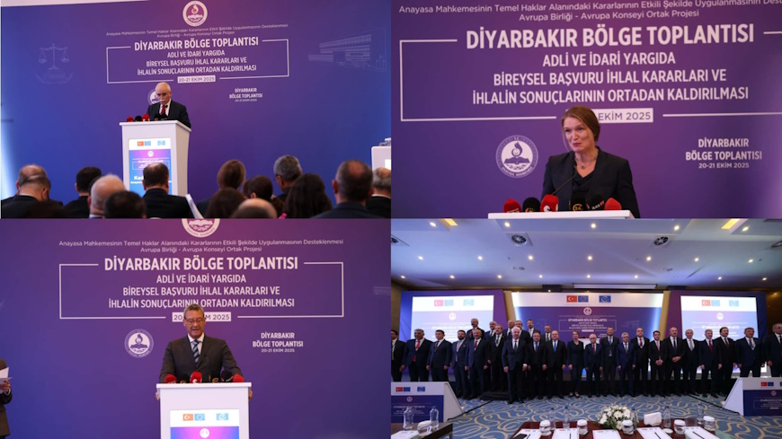 Regional Meeting on Violation Judgments and Remedies in Individual Applications