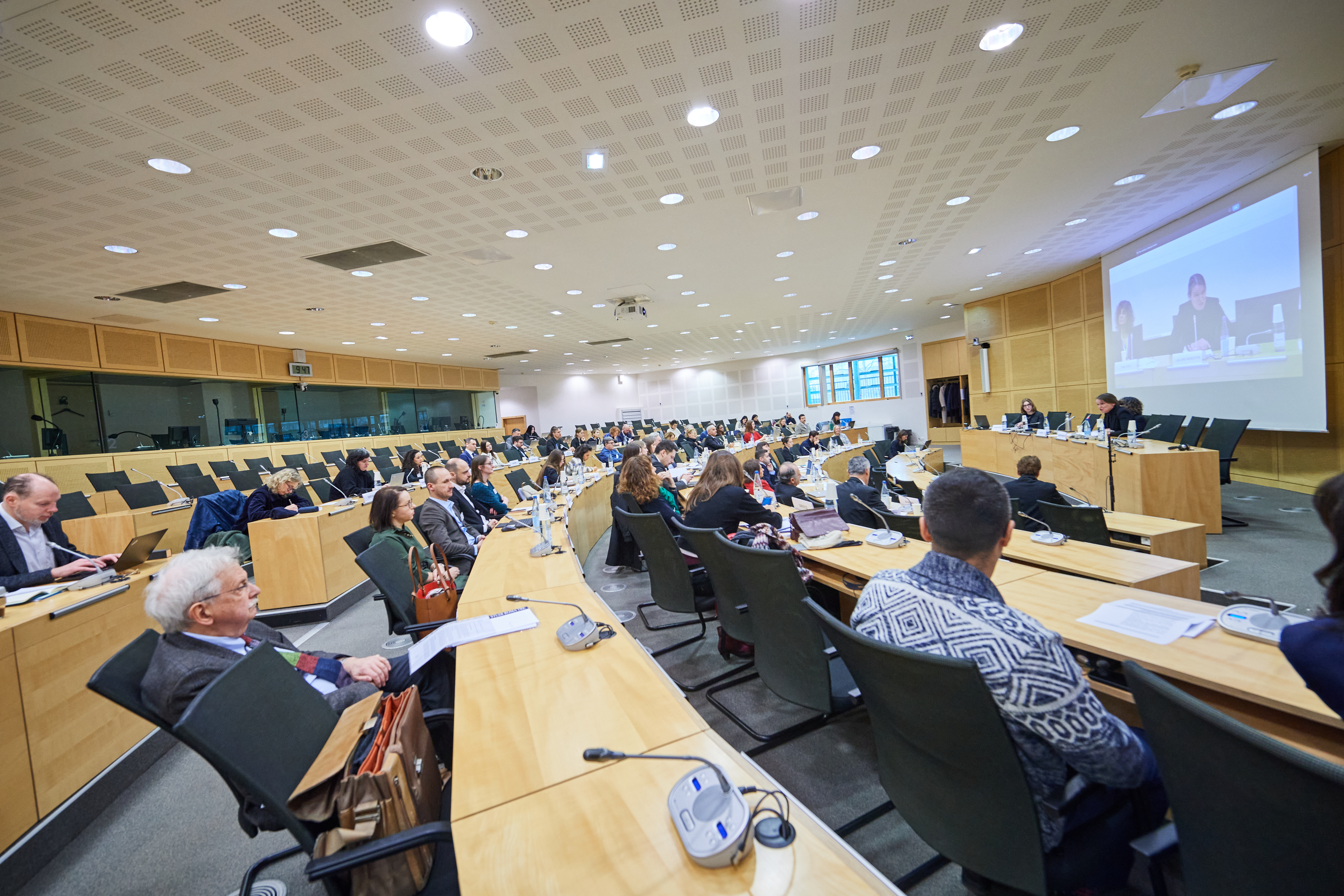 Tackling overcrowding in European prisons – A workshop to strengthen NPMs' role in safeguarding rights and ensuring effective oversight, Strasbourg, France 5-6 February 2025