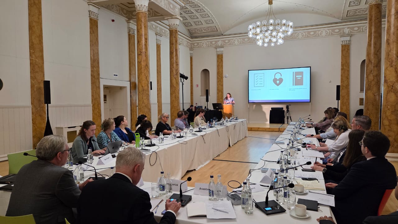 Understanding the NPM Preventive Mandate: Workshop in Dublin supports efforts towards Ireland’s preparation for a future National Preventive Mechanism under OPCAT