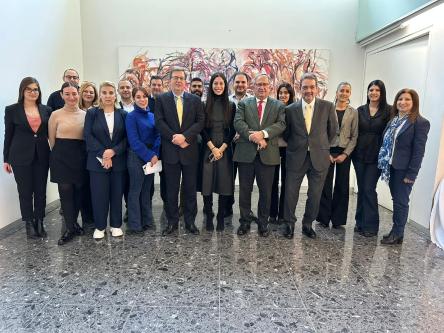 Continuation of training on Standard Operating Procedures in Cypriot courts