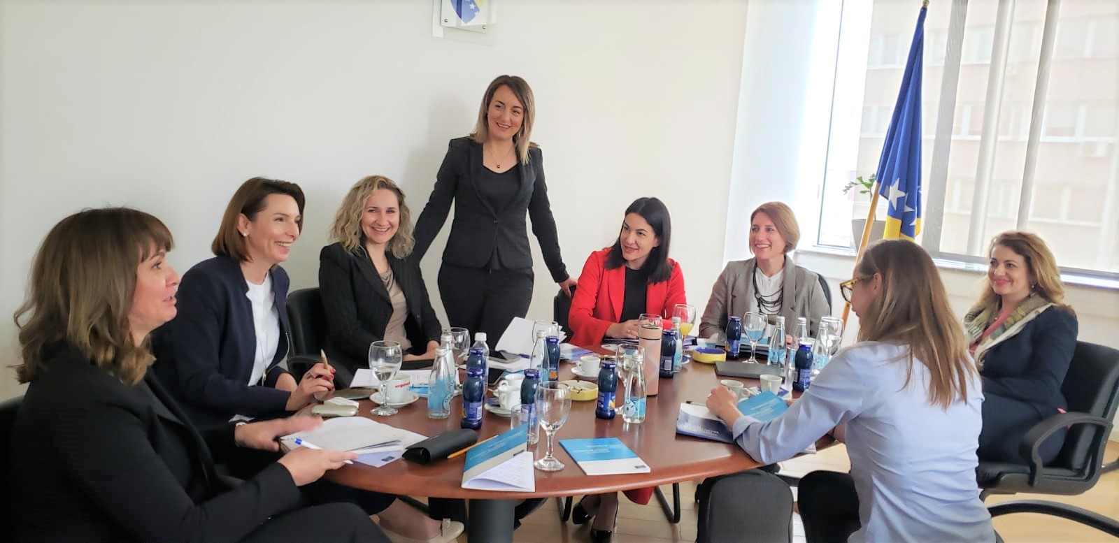 Drafting of action plans and reports for the execution of judgments of ...