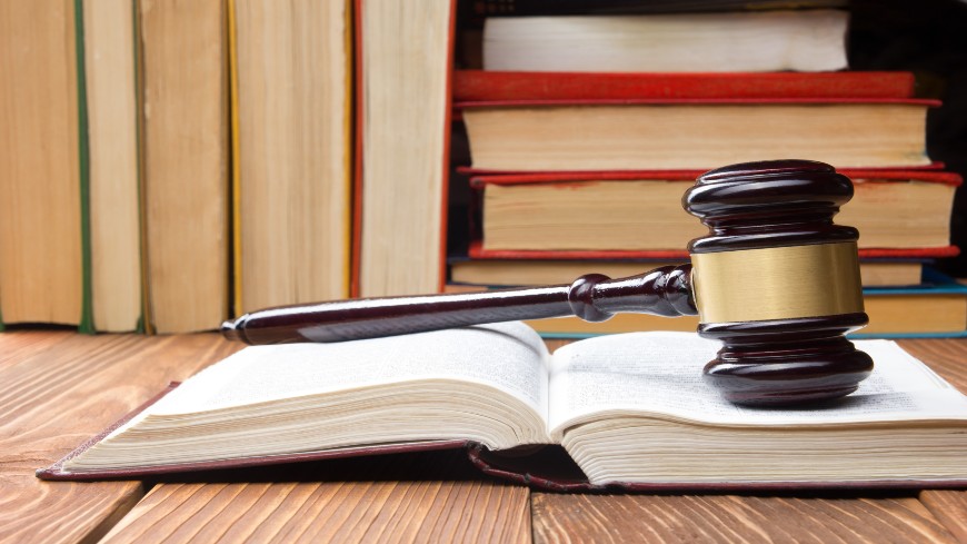 Webinar for judges and judicial assistants on the reasoning and drafting of civil judgments