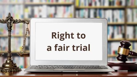 Regional online round table "Videoconference in court proceedings: human rights standards”