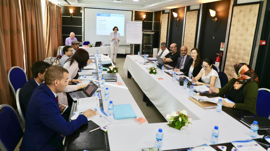 Task force considers tools to track impact of new Human Rights Action Plan in Morocco