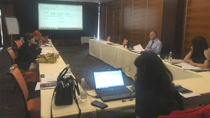 Harmonisation of the e-sentences database descriptors – meetings of the working groups