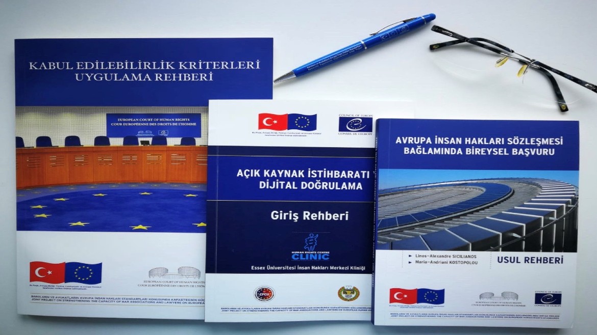 © Council of Europe