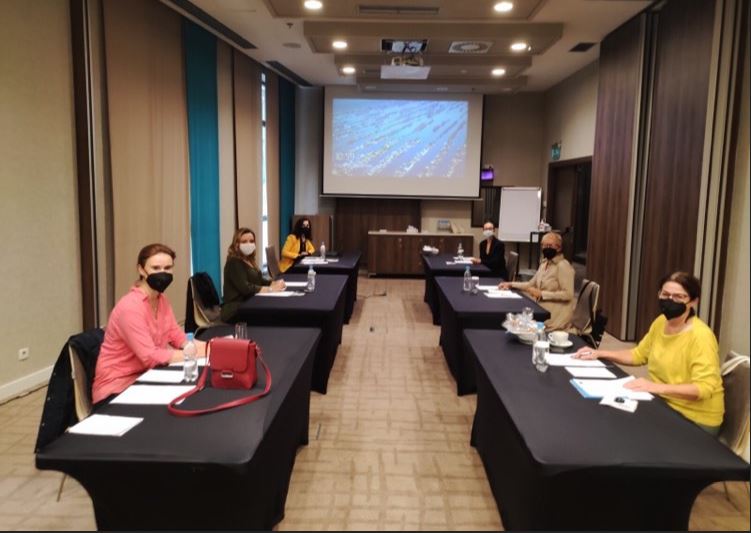 The Council of Europe continues to develop methodology and protocols for the exchange of courts case law in Bosnia and Herzegovina