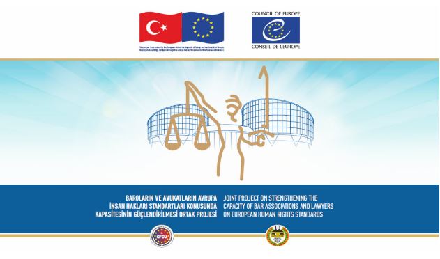 Online Training of Trainers for Lawyers on Human Rights