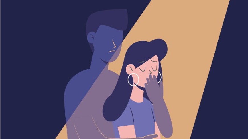 Guidelines on processing domestic violence cases available to the ...