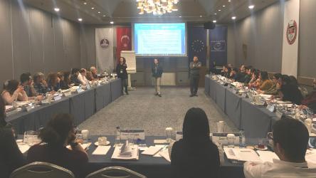 In-service Training Seminar on Individual Application Procedure for Lawyers in Antalya, Adana and Mersin