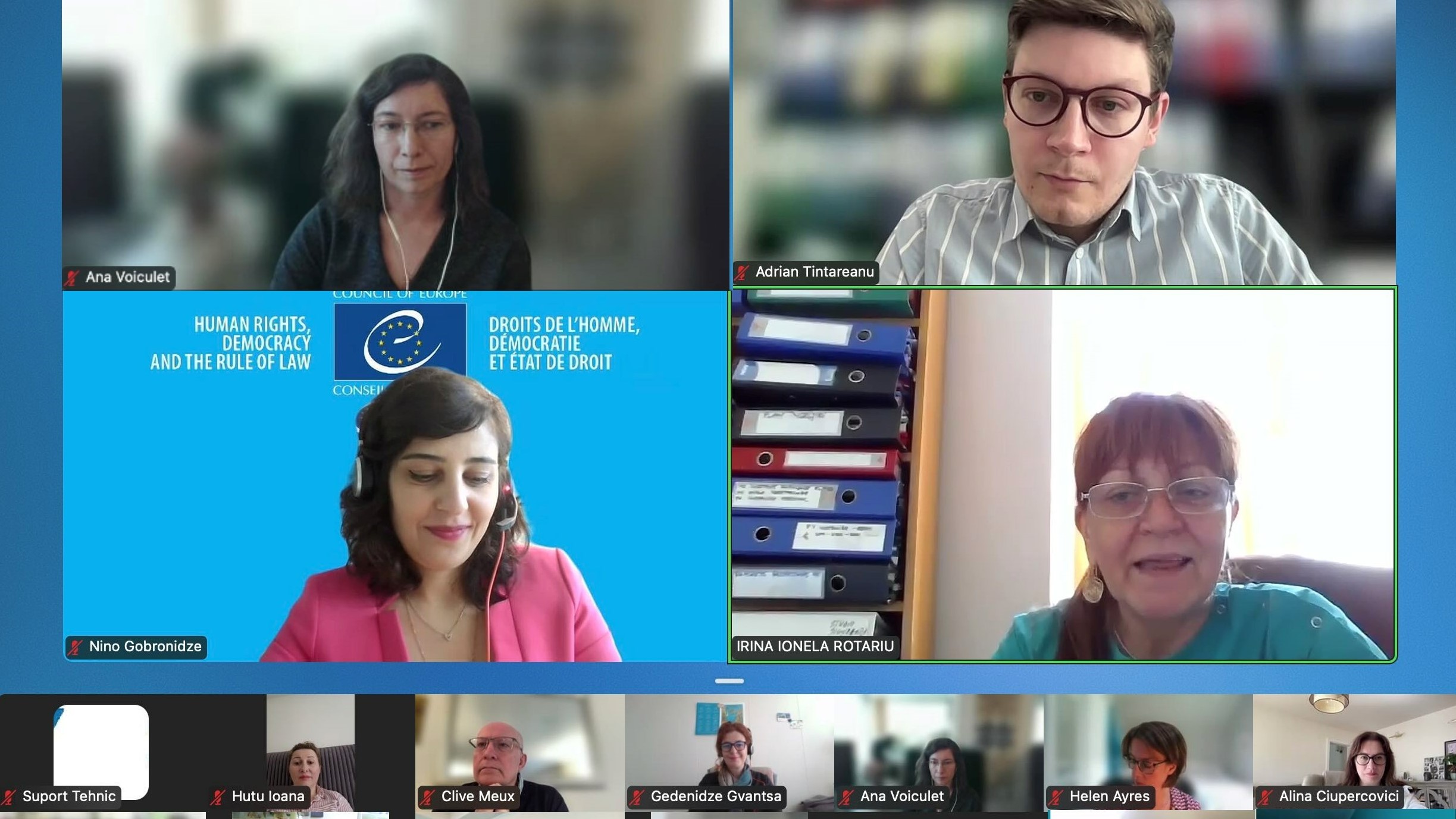 First Steps Towards Developing Mental Health Nurse Specialisation in Romania