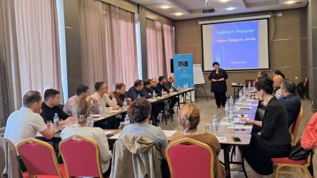Strengthening Georgian Expertise: Ministry of Justice General Inspection Staff Trained on Effective Investigation of Torture