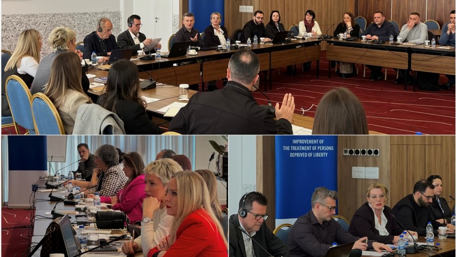 Council of Europe supports the Ministry of Health of Kosovo* to further strengthen the provision of healthcare in prisons