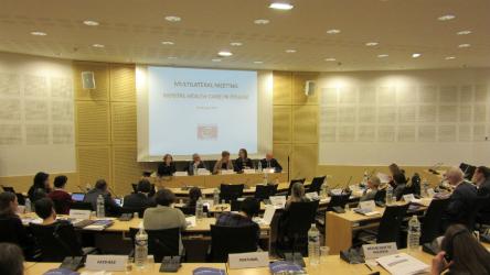 Multilateral meeting on mental health care in prison