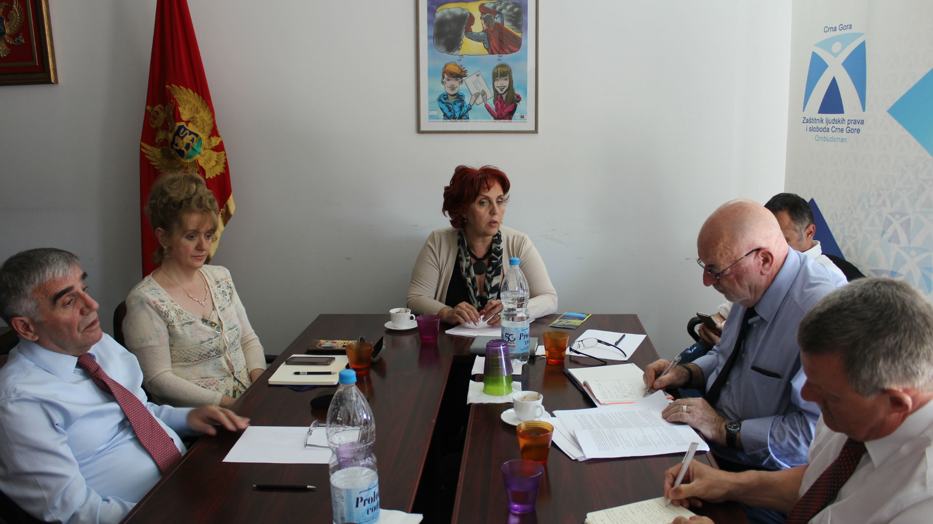 Review of the contingency procedures in Montenegrin prisons