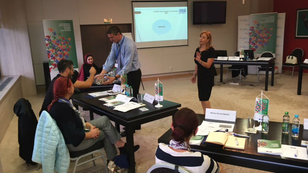 Enhancing protocols for delivering health care in custody in Bosnia and Herzegovina