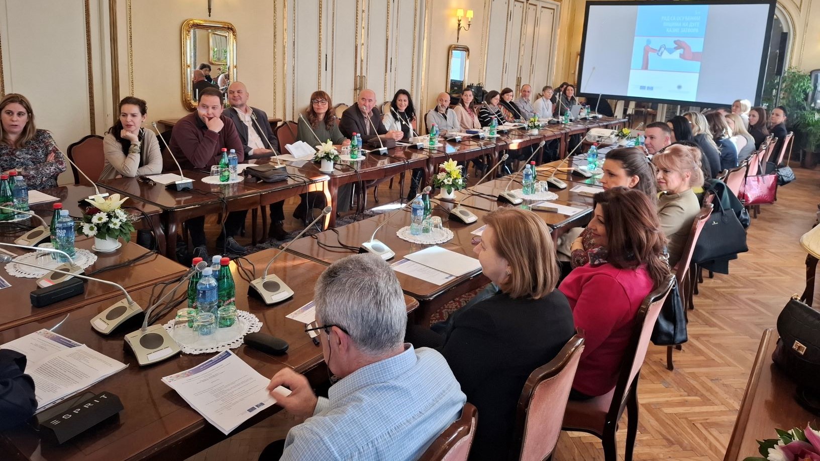 Council of Europe supports and develops treatment programmes for sentenced persons in Serbia