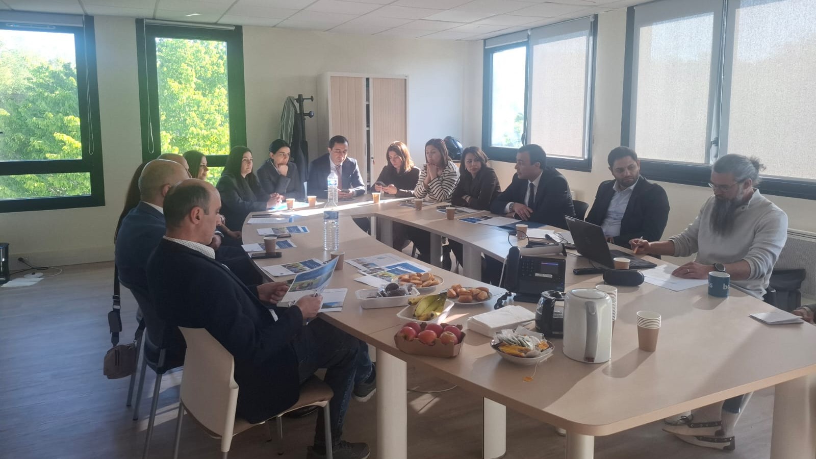 Council of Europe strengthens collaboration with Armenia in promoting the autonomy of persons with mental health issues