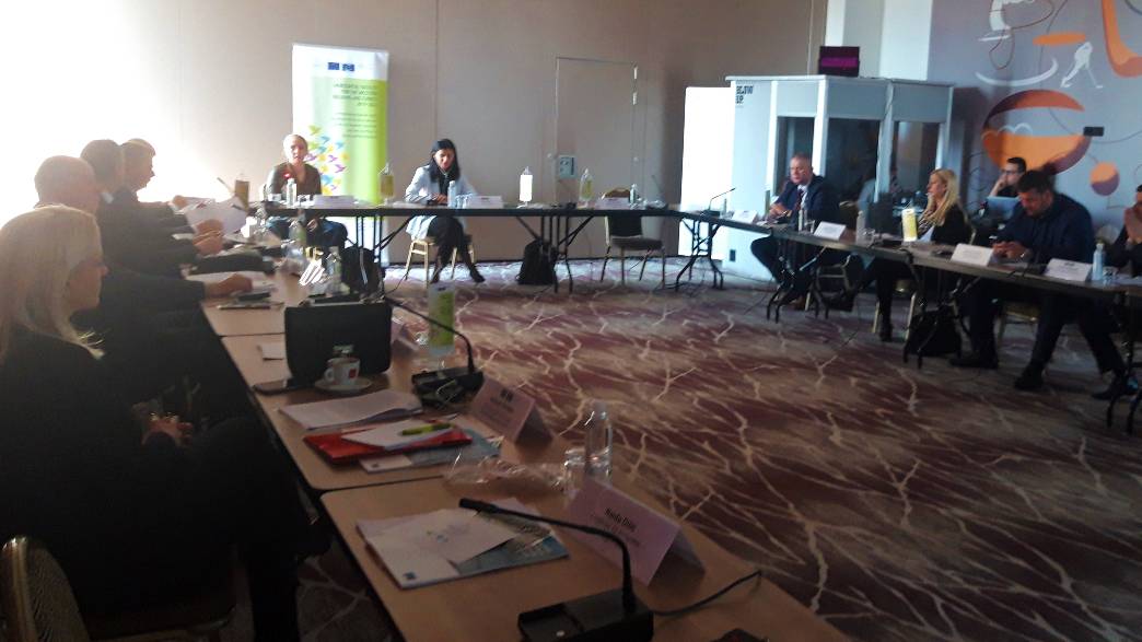 6th Steering Committee Meeting of the Action „Strengthening human rights treatment of detained persons based on European standards and best practices in Bosnia and Herzegovina"