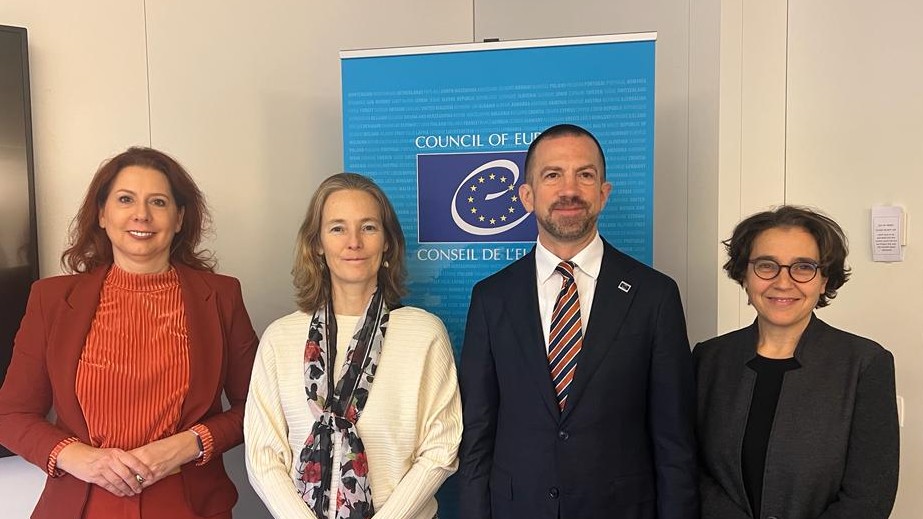 Council of Europe and UN representatives discuss violence against women
