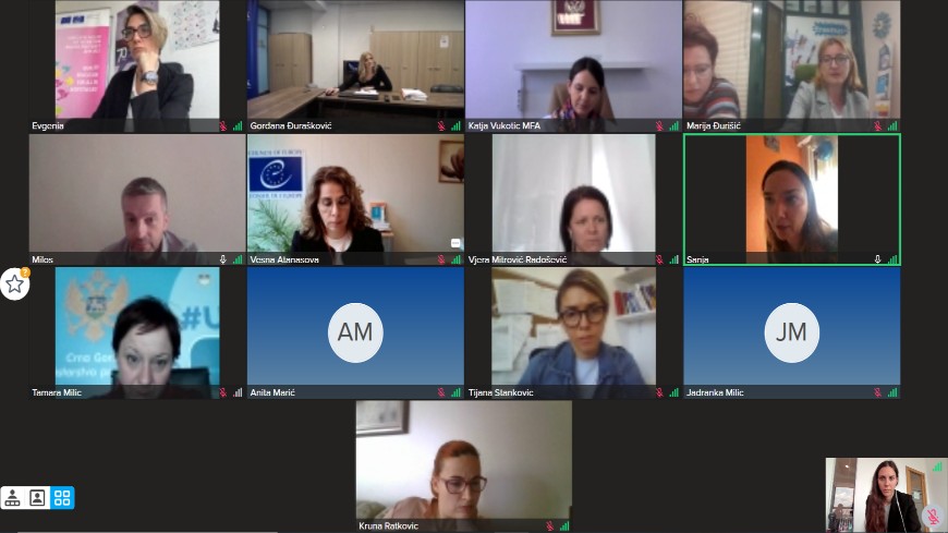 Steering Committee meeting in Montenegro focused on the action progress and related challenges in education