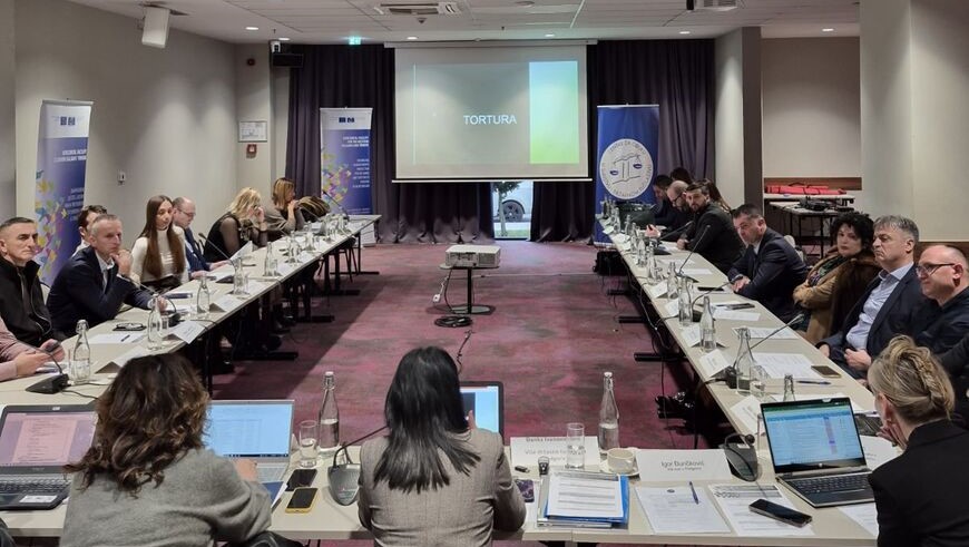 Montenegro boosts institutional expertise in tackling ill-treatment