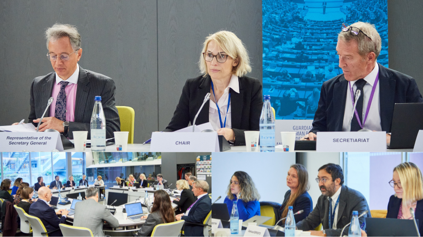 Le Fonds fiduciaire pour les droits de l'homme discute des futures propositions de projets avec le Greffe de la Cour européenne des droits de l'homme et les directions du Conseil de l'Europe