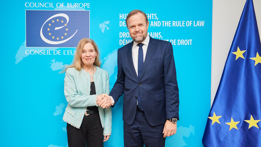 Finland funds Council of Europe initiatives