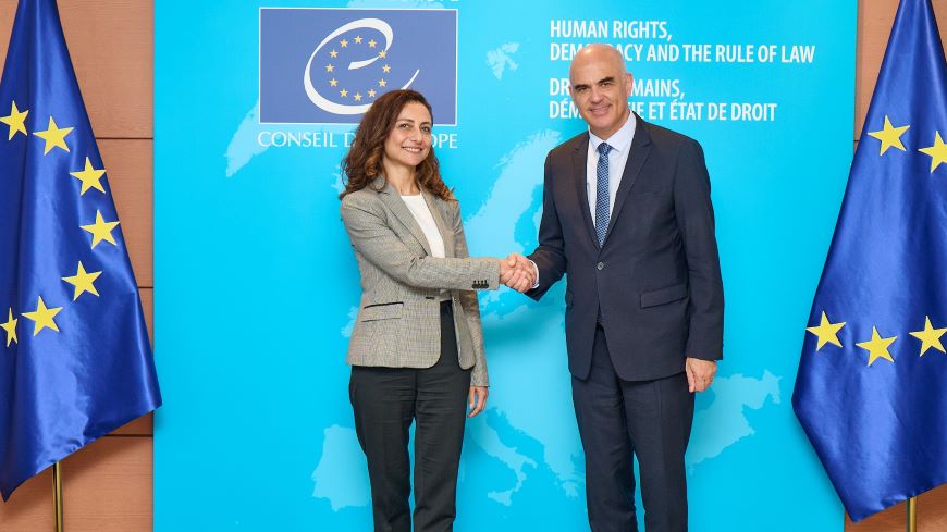 Türkiye funds Council of Europe activities in Kosovo*