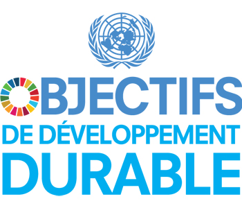 UN sustainable development goals