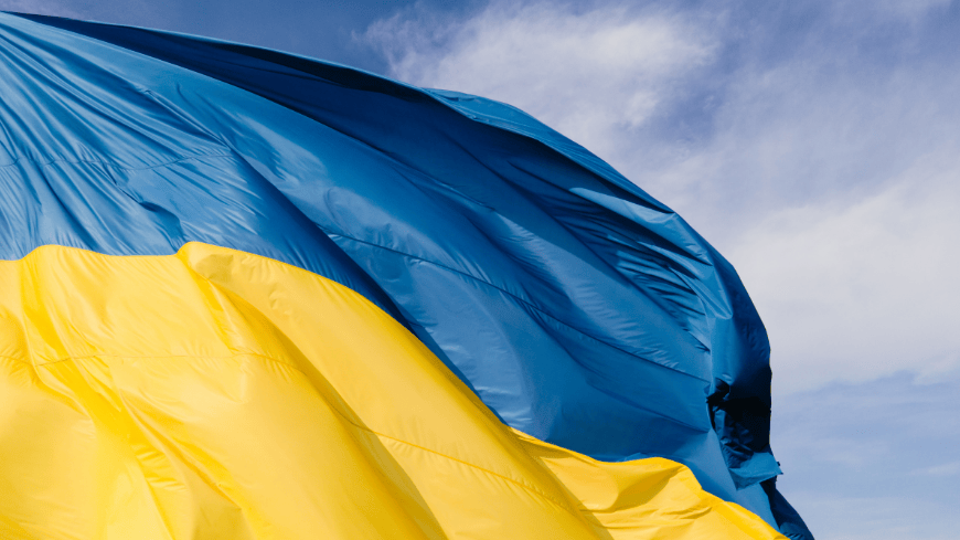 Ukraine Independence Day: The Council of Europe stands with Ukraine and prepares new action plan for 2027-2030