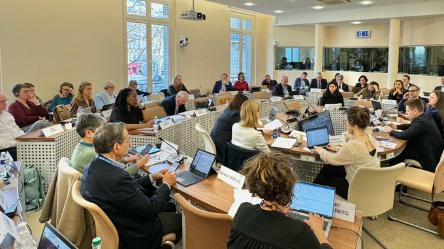 SRSG engages with PACE and CEB in Paris meetings