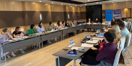 Strengthening reporting sysems on violence against children; Experts discuss implementation of CM recommendation on effective guardianship of unaccompanied and separated migrant children
