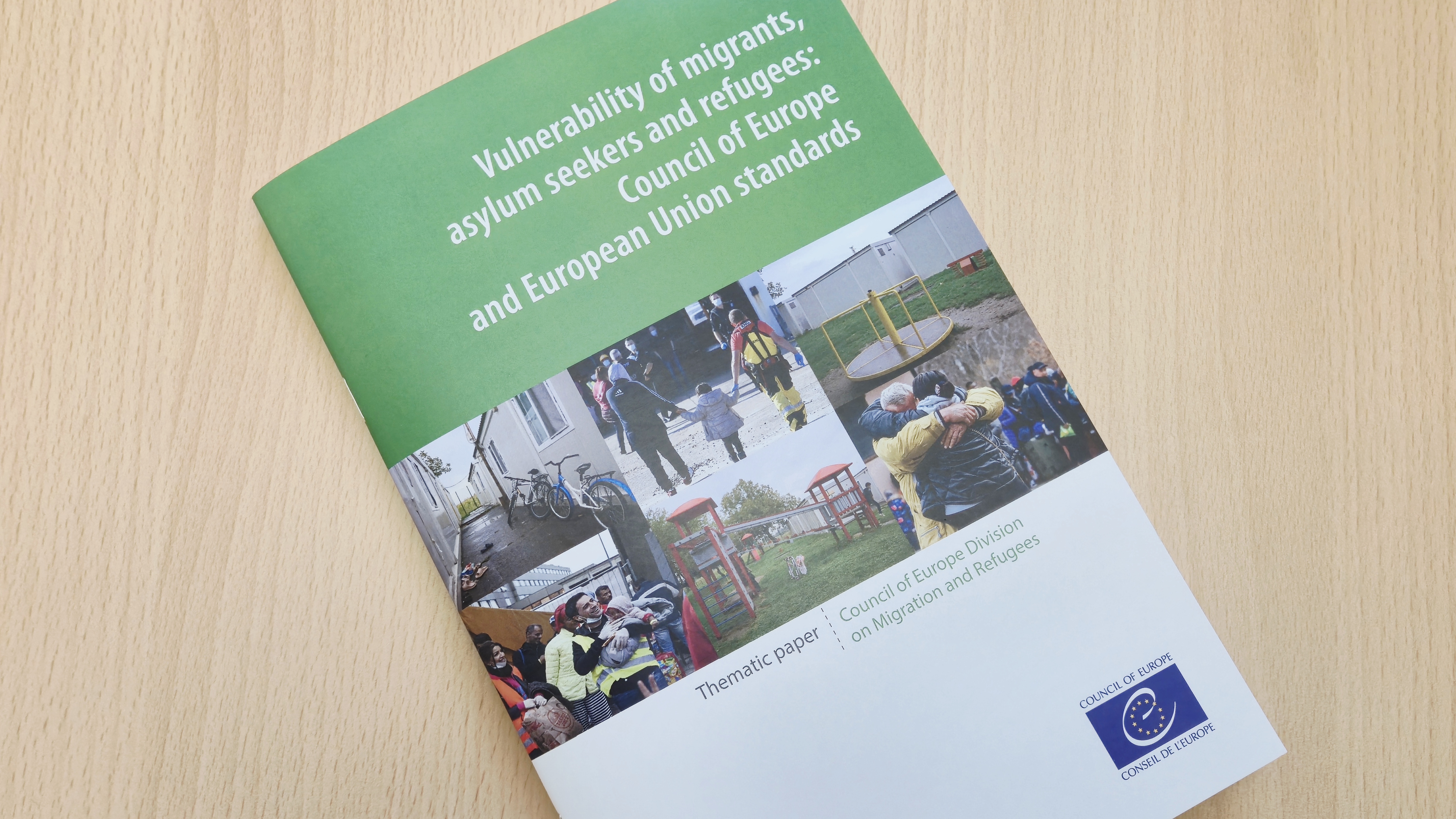 New thematic paper on protecting vulnerable persons in migration and asylum contexts