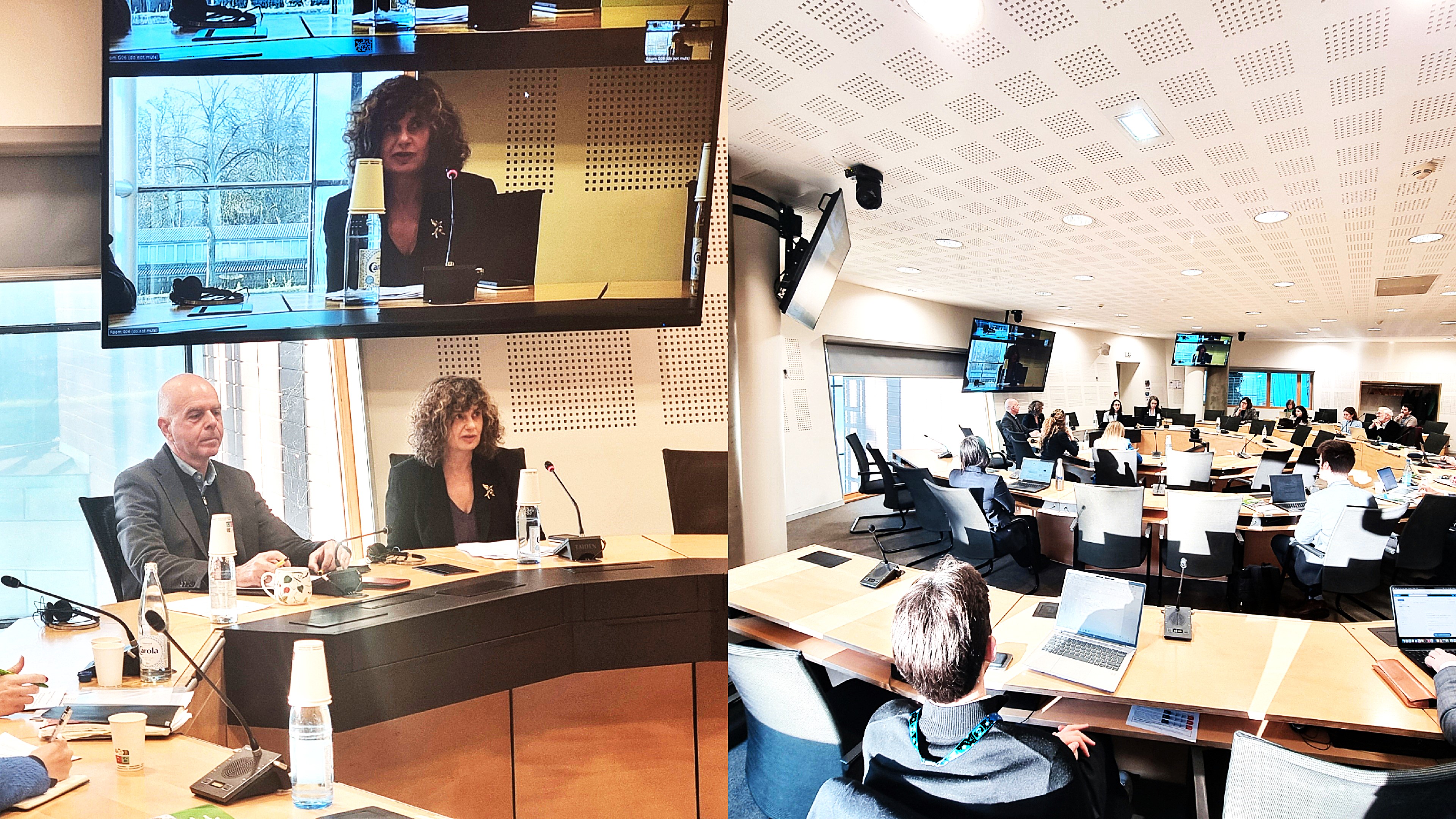 Council of Europe Coordination Group on Migration focuses on monitoring bodies and entities’ action