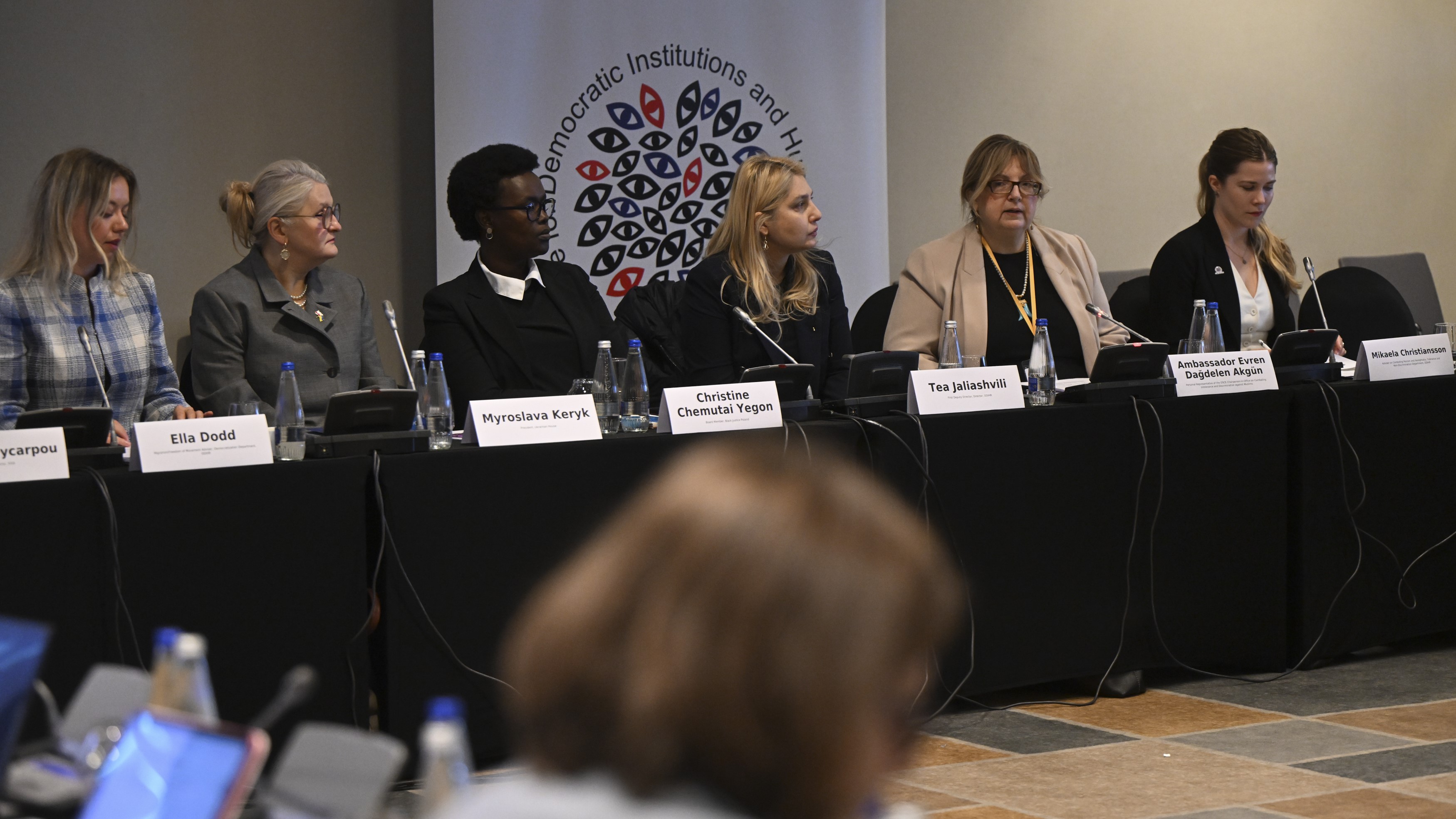 Council of Europe participates in OSCE Human Dimension Conference and 41st Consultative Forum of Frontex in Warsaw