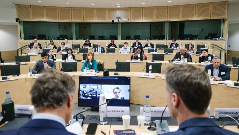 Suivi du Mécanisme national de prévention et migration - L'atelier du Conseil de l'Europe examine les défis et les stratégies