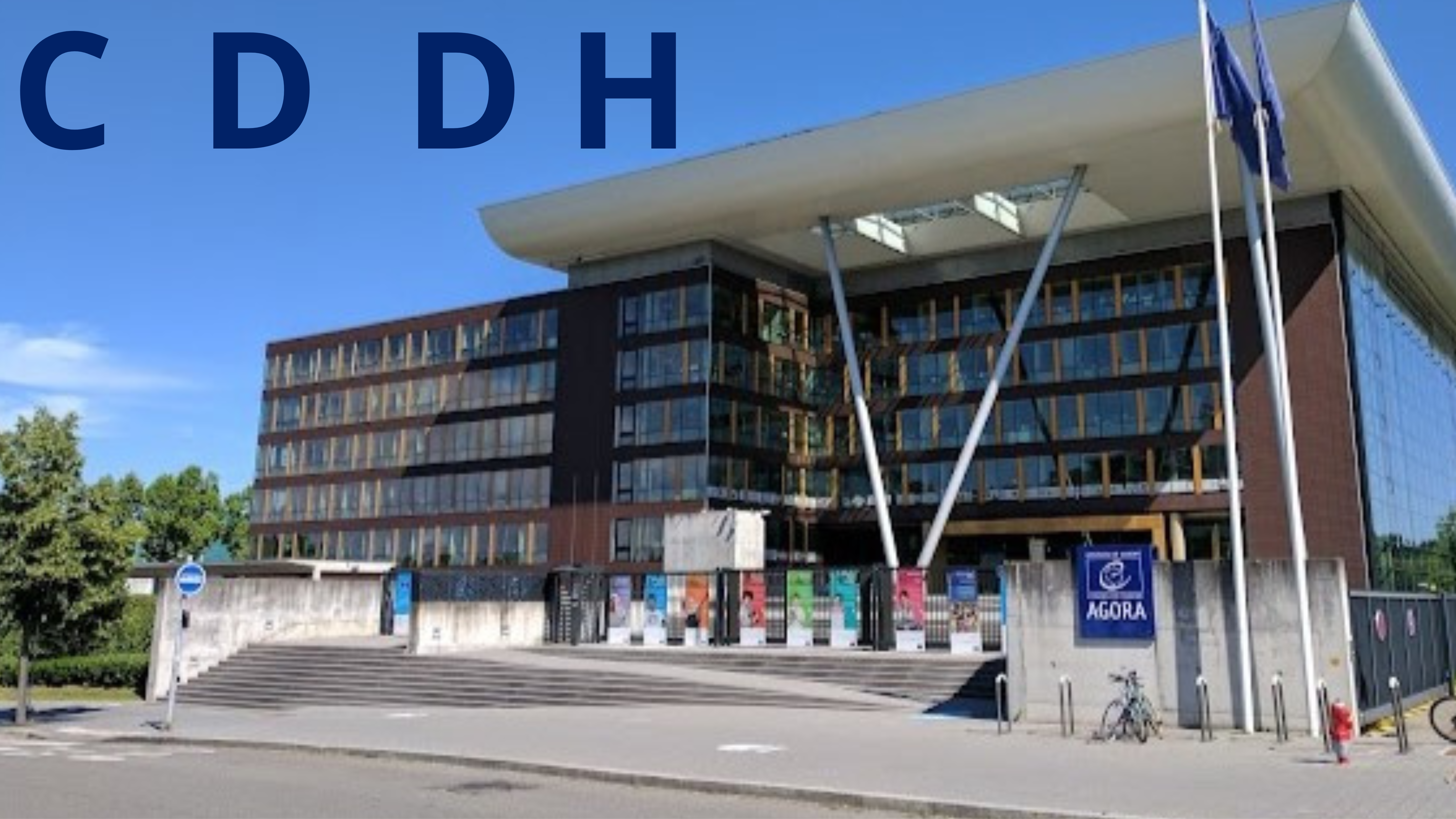 Third CDDH extraordinary meeting