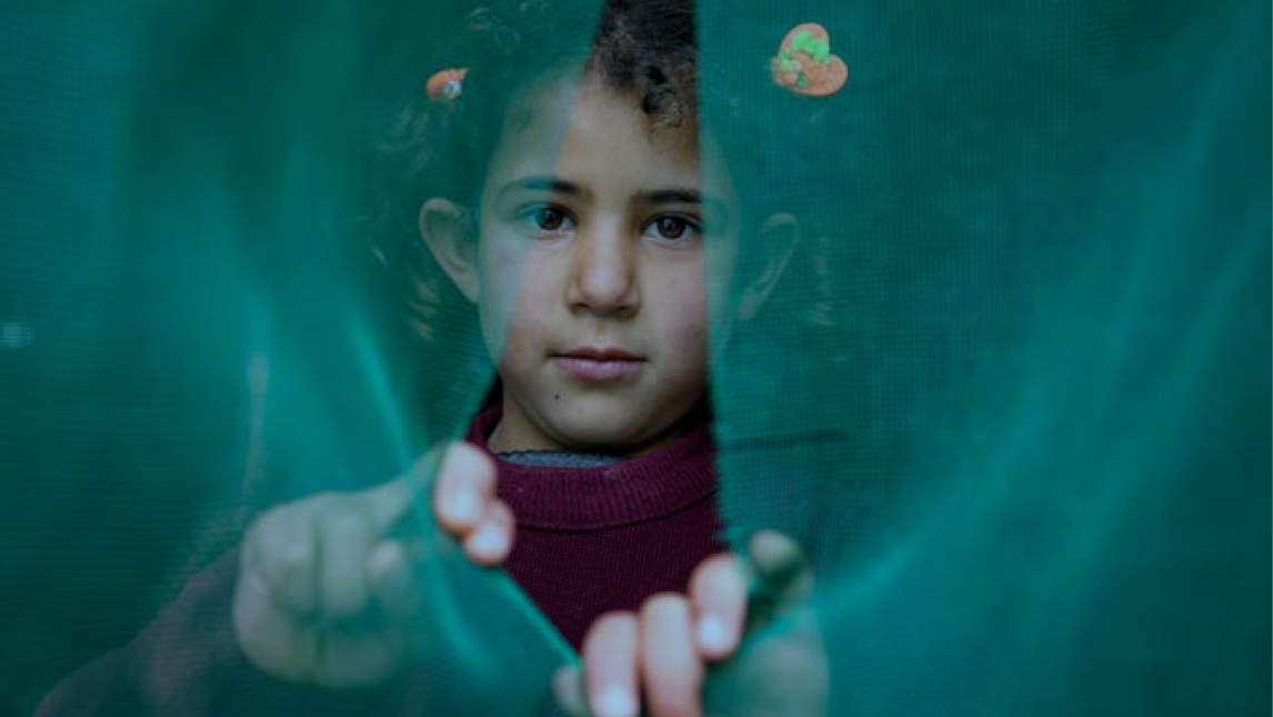 CDCJ finalises draft Recommendation on the nationality of children