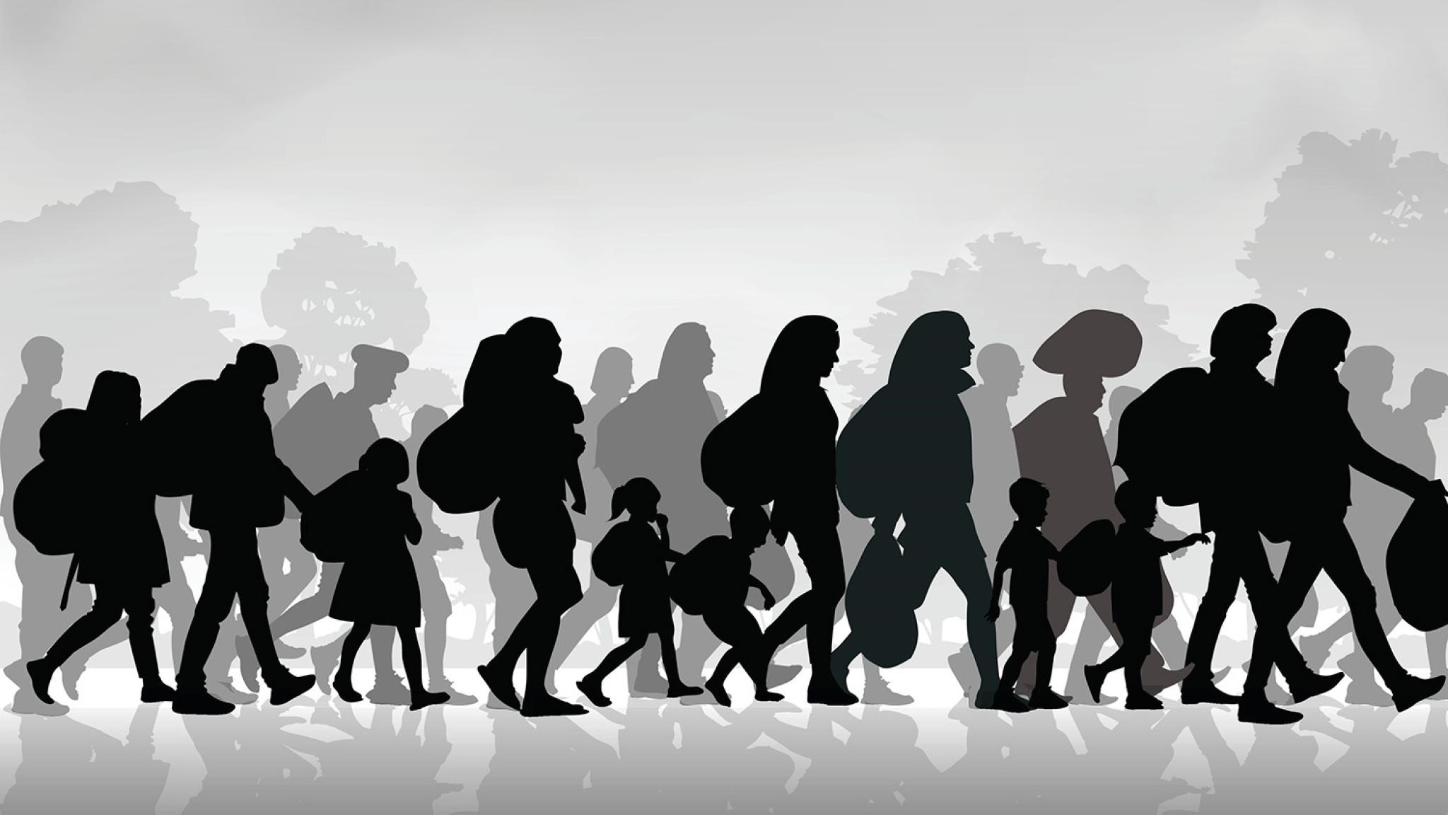 PACE Migration Committee welcomes creation of Division on Migration and Refugees