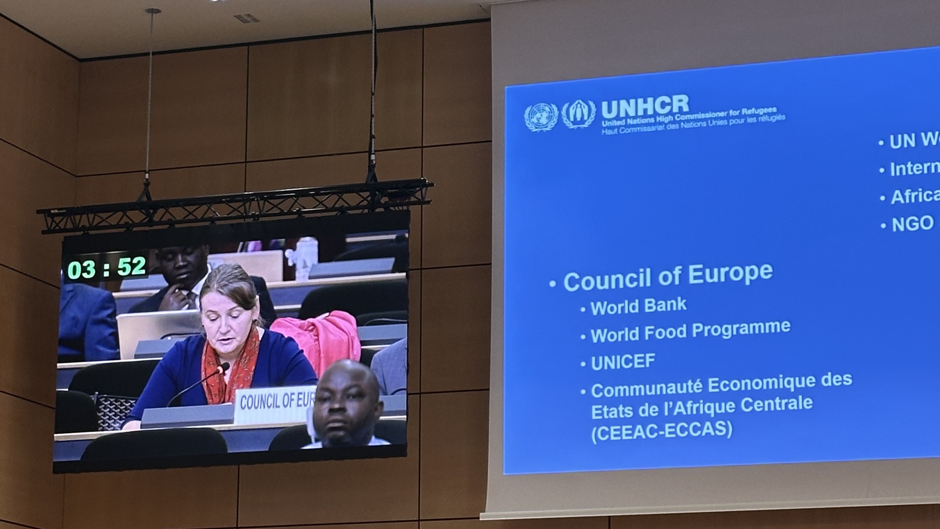 Council of Europe reaffirms commitment to refugee protection at UNHCR Executive Committee session